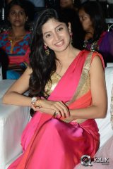 Aadu Magadura Bujji Movie Audio Launch